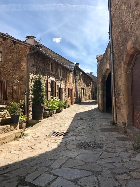 La Petite Maison Des Artistes Castelnau-Pégayrols Szoba fotó