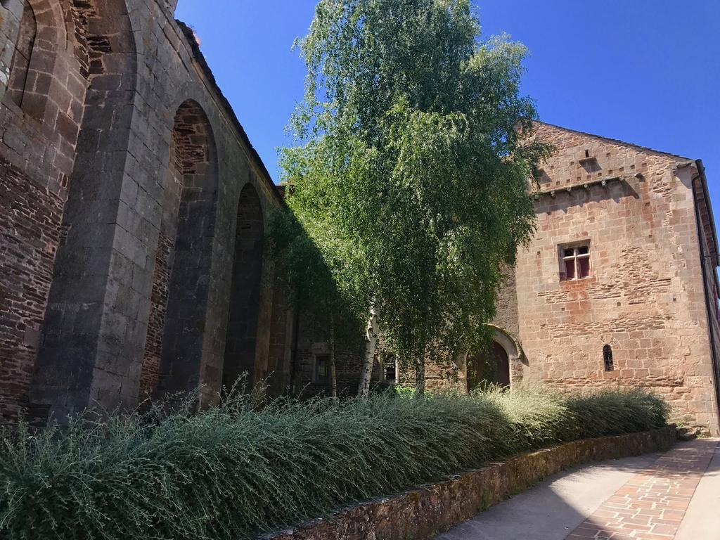 La Petite Maison Des Artistes Castelnau-Pégayrols Szoba fotó