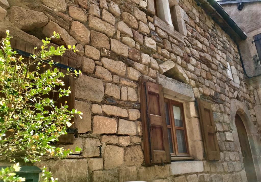 La Petite Maison Des Artistes Castelnau-Pégayrols Szoba fotó