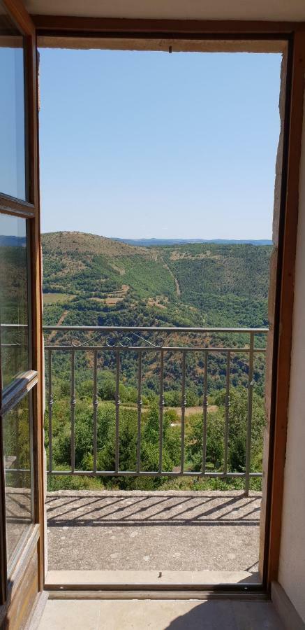 La Petite Maison Des Artistes Castelnau-Pégayrols Kültér fotó
