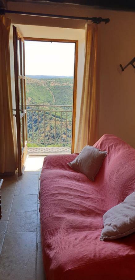 La Petite Maison Des Artistes Castelnau-Pégayrols Kültér fotó