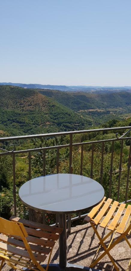 La Petite Maison Des Artistes Castelnau-Pégayrols Kültér fotó