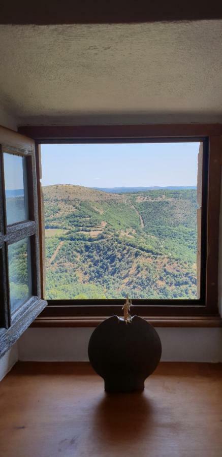 La Petite Maison Des Artistes Castelnau-Pégayrols Kültér fotó